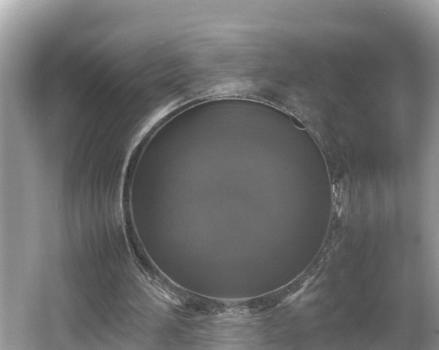 X0000062150196200512161243