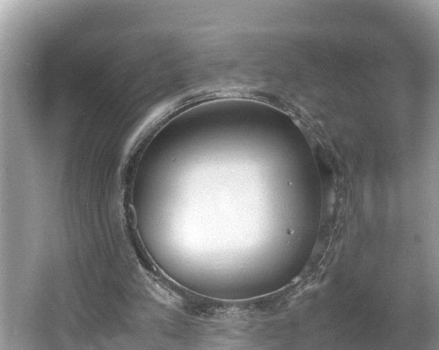 X0000062150197200512161243