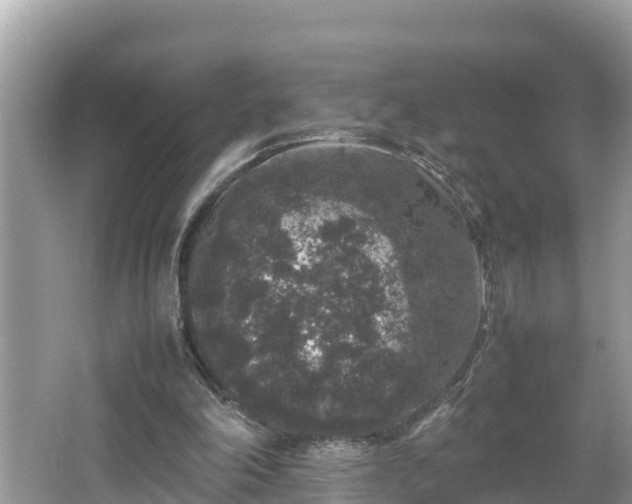 X0000062150198200512161243