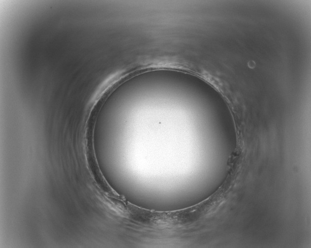 X0000062150199200512161243