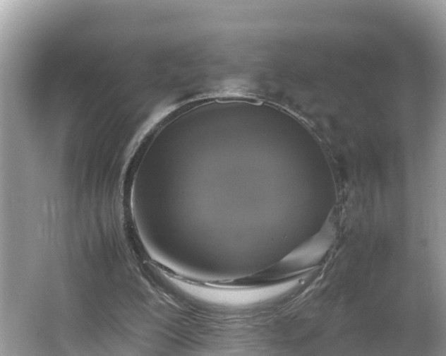 X0000062150200200512161243