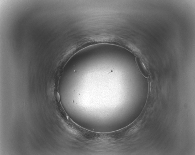 X0000062150201200512161243