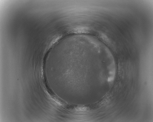 X0000062150202200512161243