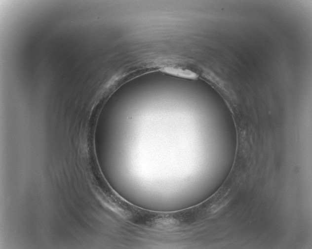 X0000062150203200512161243