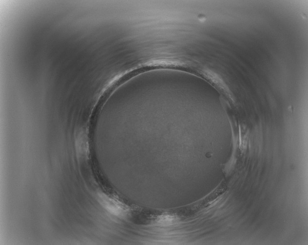 X0000062150204200512161243