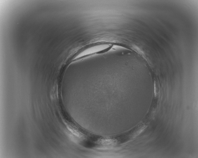 X0000062150205200512161243