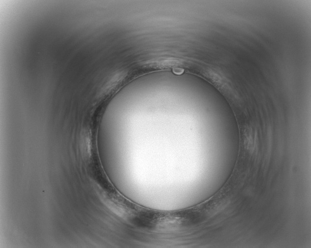 X0000062150206200512161243