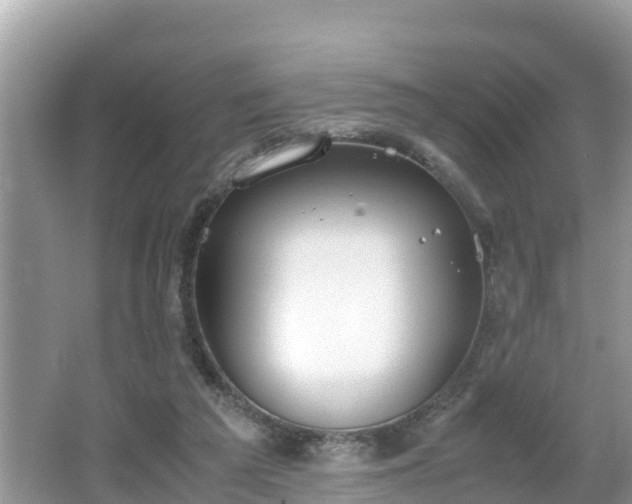 X0000062150209200512161243