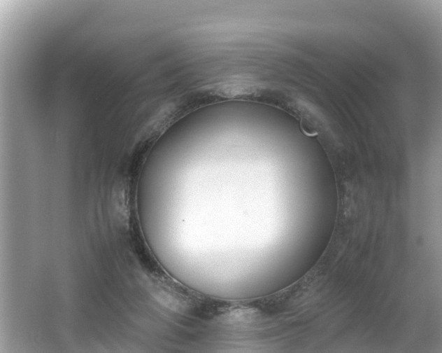 X0000062150210200512161243