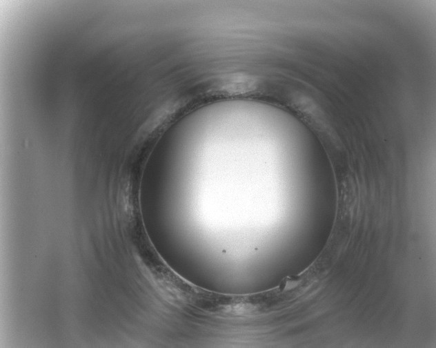 X0000062150212200512161243