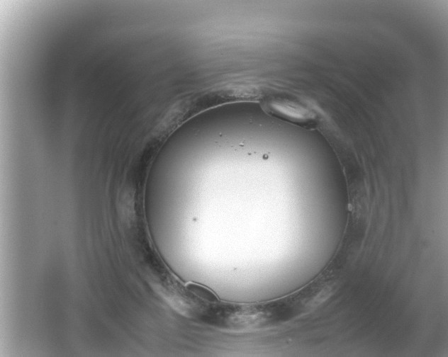 X0000062150213200512161243