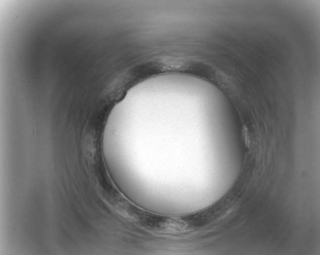 X0000062150215200512161243