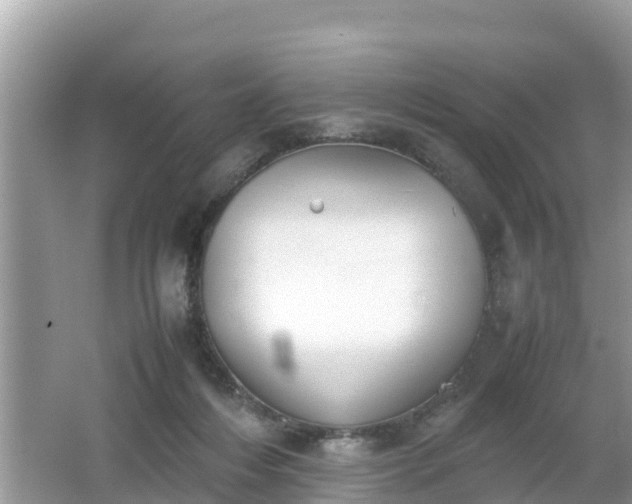 X0000062150216200512161243