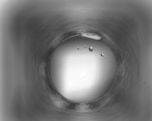 X0000062150217200512161243