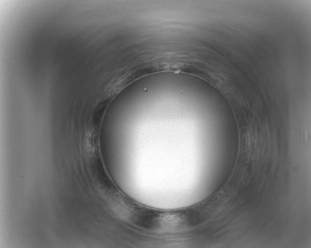 X0000062150218200512161243