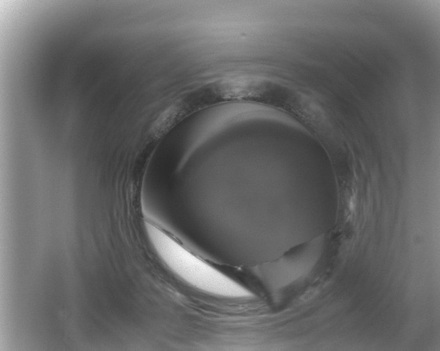 X0000062150219200512161243