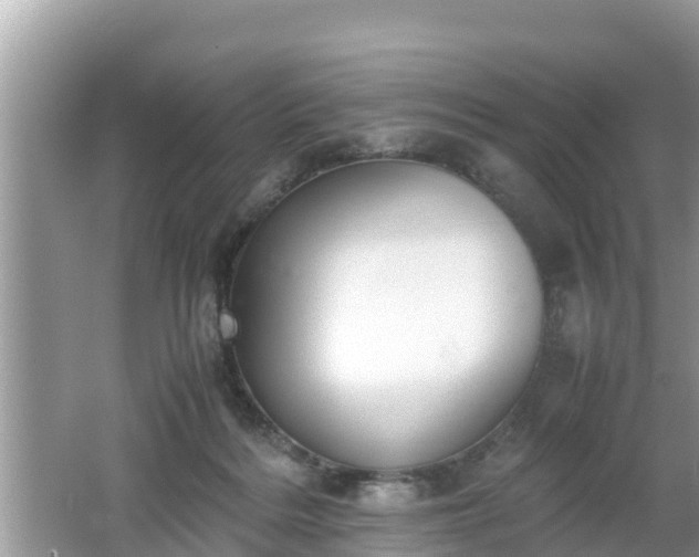 X0000062150220200512161243