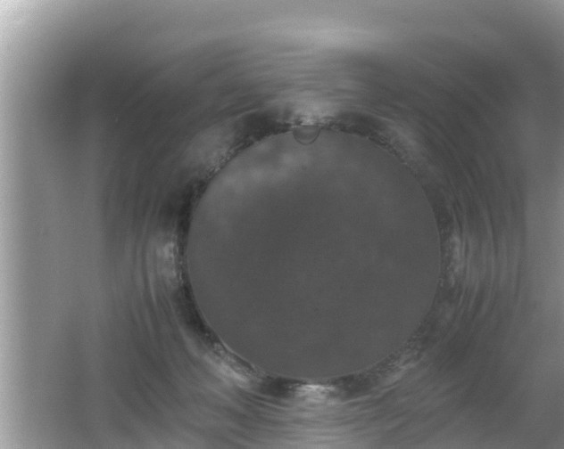 X0000062150222200512161243