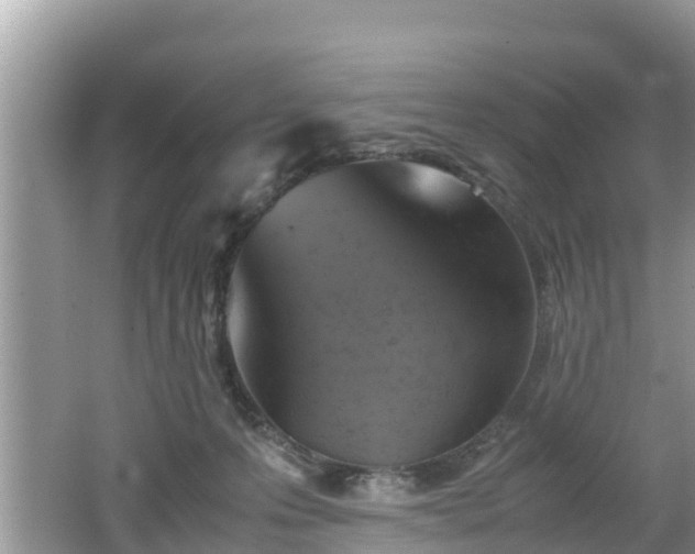 X0000062150223200512161243