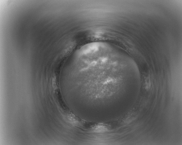 X0000062150224200512161243