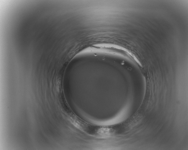 X0000062150227200512161243