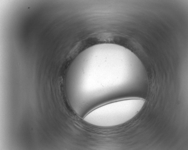 X0000062150229200512161243