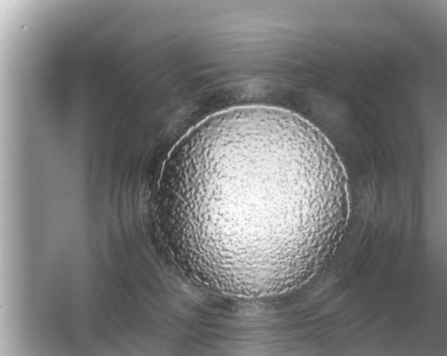 X0000062150230200512161243