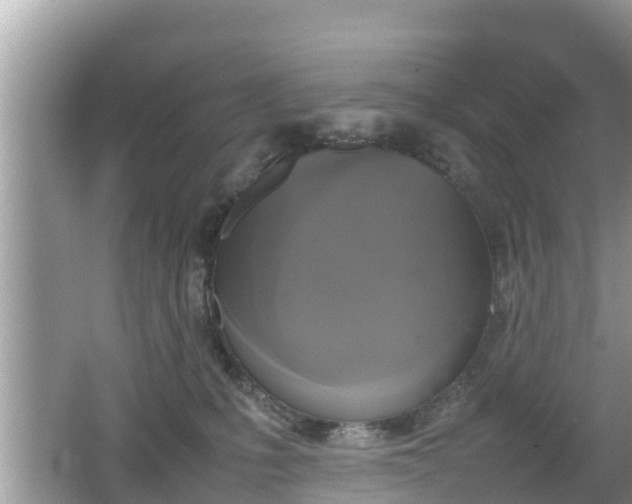 X0000062150231200512161243