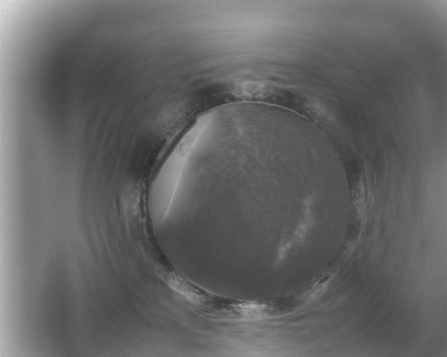 X0000062150233200512161243