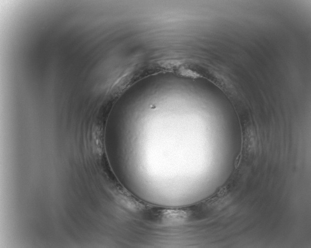 X0000062150234200512161243