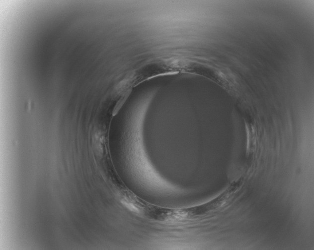 X0000062150235200512161243