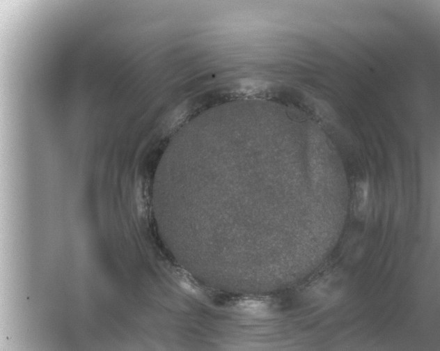 X0000062150236200512161243