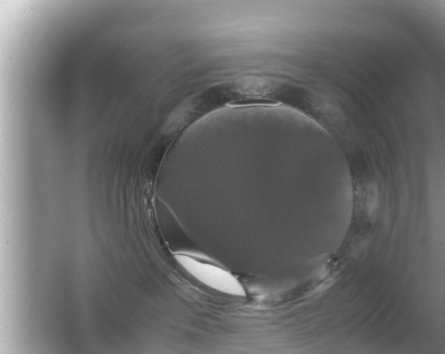 X0000062150237200512161243