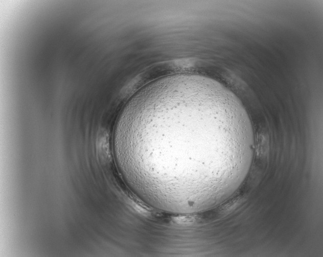 X0000062150238200512161243