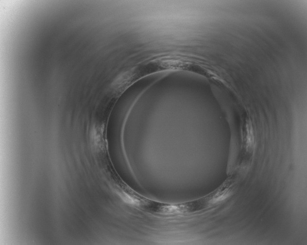 X0000062150239200512161243