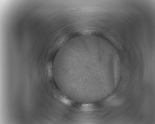 X0000062150240200512161243