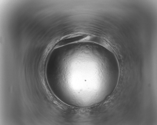 X0000062150241200512161242