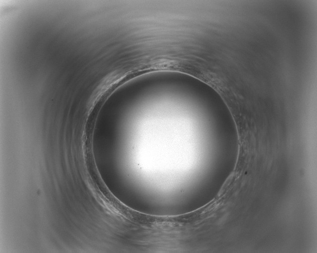 X0000062150242200512161242