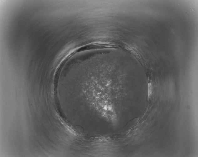 X0000062150243200512161242