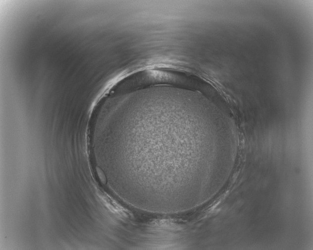 X0000062150244200512161242