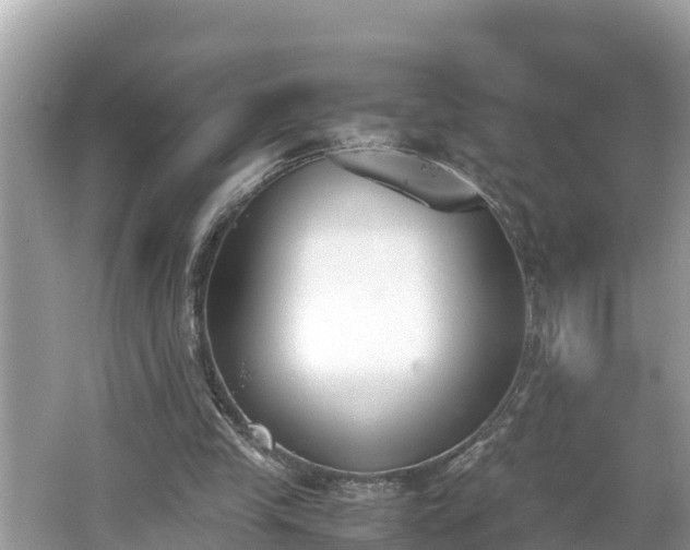 X0000062150245200512161242