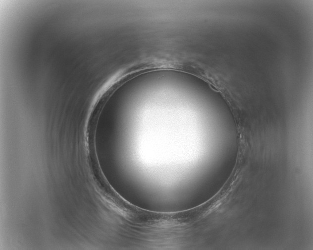 X0000062150246200512161242