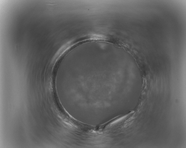 X0000062150247200512161242