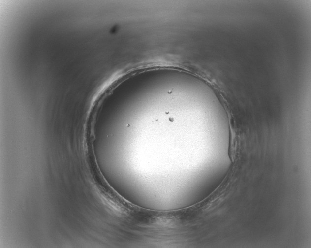 X0000062150248200512161242