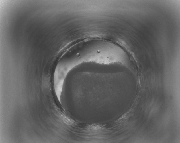 X0000062150249200512161242