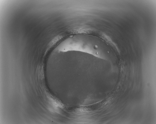 X0000062150250200512161242