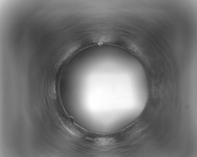 X0000062150251200512161242