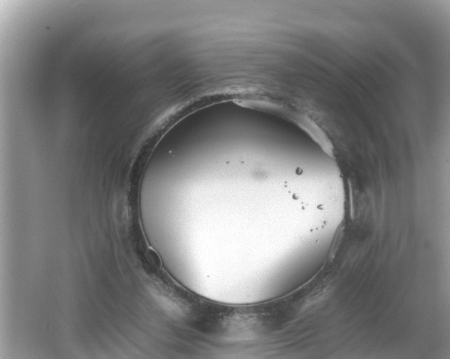 X0000062150252200512161242