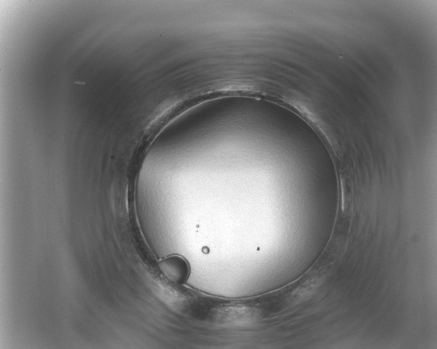 X0000062150253200512161242