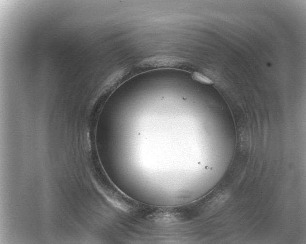 X0000062150254200512161242